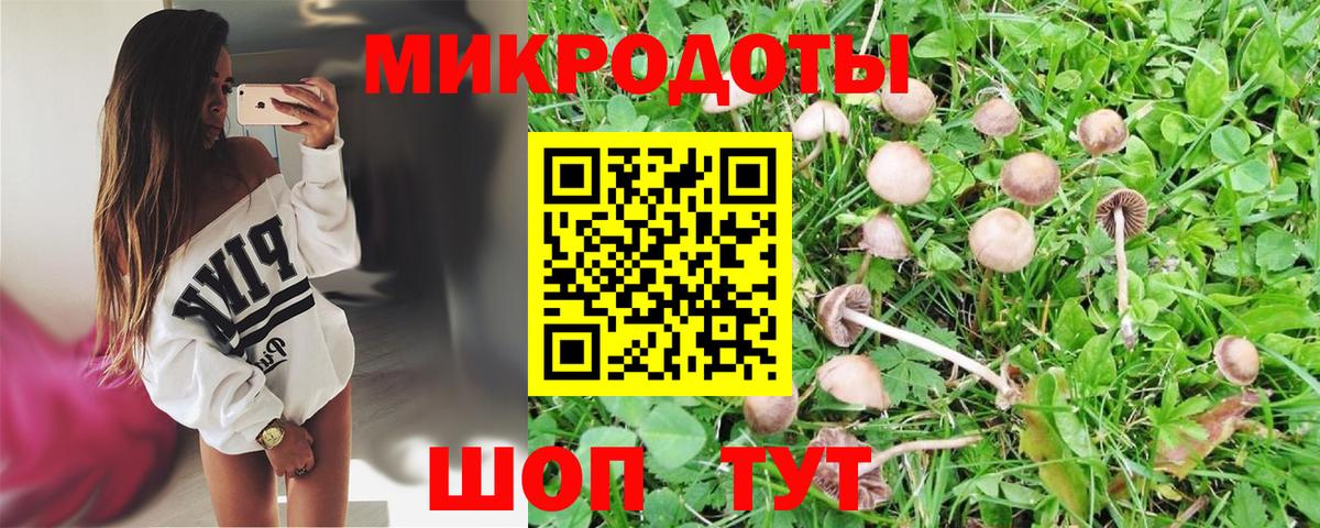 Шатура  Галлюциногенные грибы Psilocybine cubensis  Галлюциногенные грибы мухоморы  Вход с VPN 