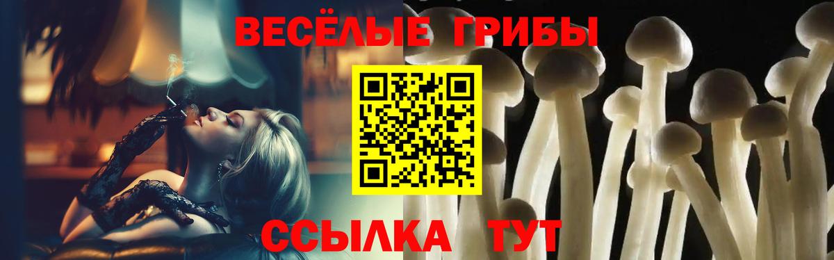 Галлюциногенные грибы мицелий Шатура